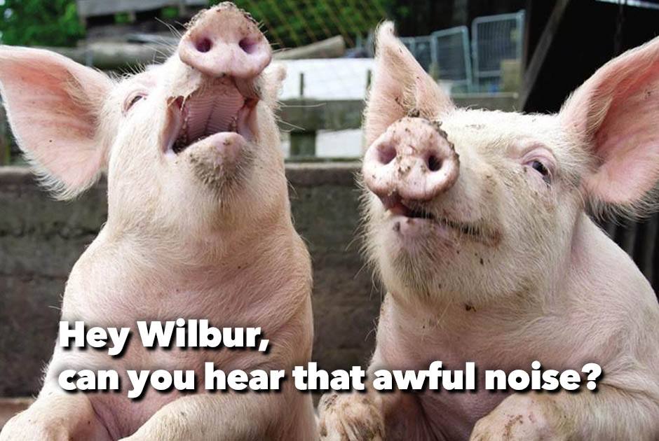 wilbur