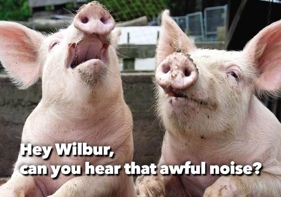 wilbur